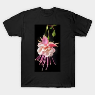 Pink Fuchsia T-Shirt